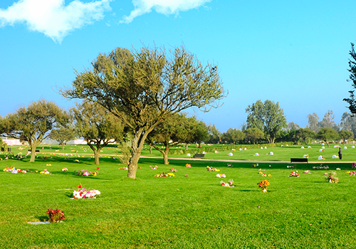 Cementerio Parque Sendero Quilpué