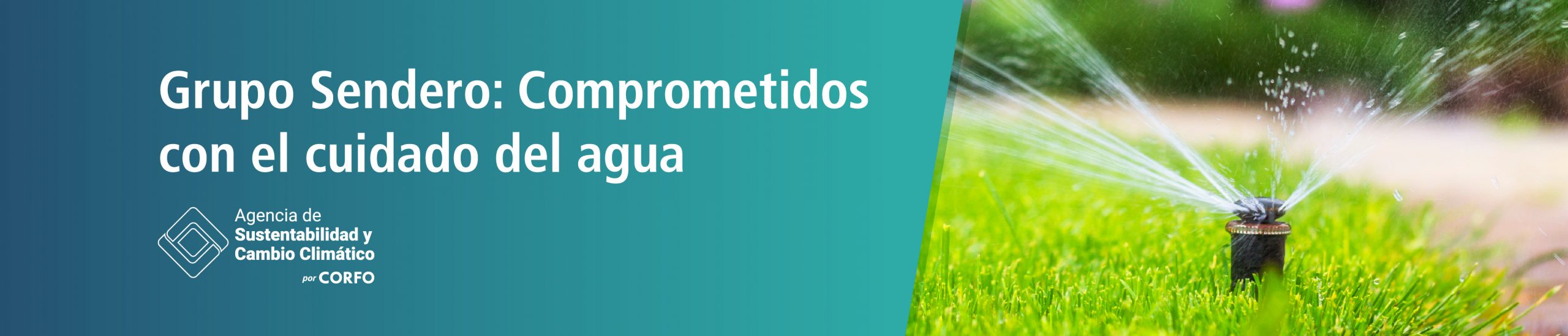 Banner Certificado azul Sendero